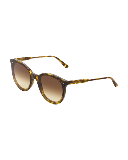 BOTTEGA VENETA 61mm Round Sunglasses