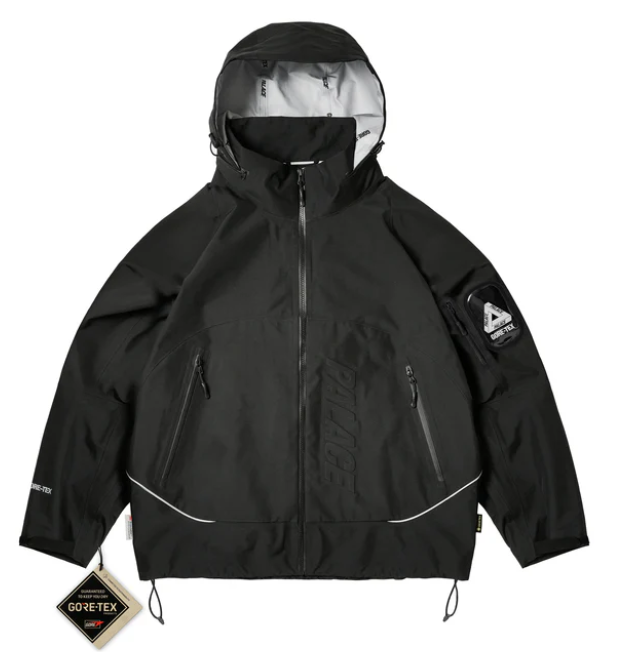 PALACE GORE-TEX 3L M-TEK JACKE